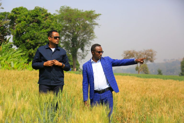 Dambi Dollo University Management Visits Various Agricultural Development Projects underway in the campus